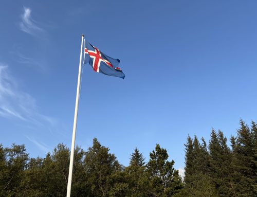 5. flokkur – Fyrsta frétt