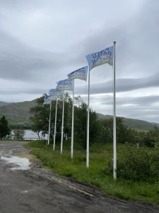 IMG_5345